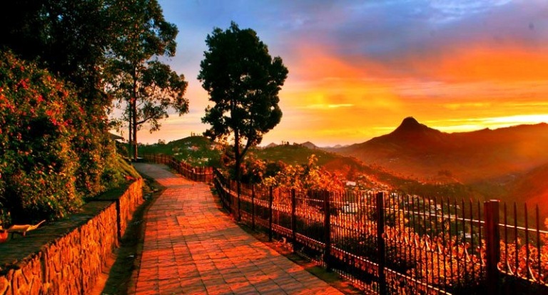 36142_Coakers-walk-kodaikanal.jpg